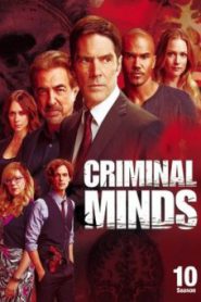 Criminal Minds Season 10 อ่านเกมอาชญากร ปี 10