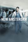 New Amsterdam Season 1