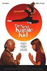 The Next Karate Kid (1994)